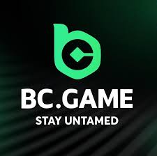 Explore Everything in the BC.Game A Comprehensive Overview